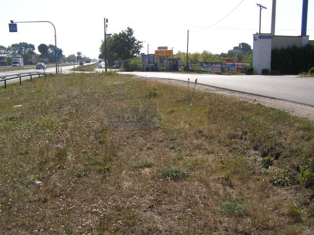 Działka Sprzedaż Izabelin-Dziekanówek 6