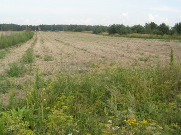 Działka Sprzedaż Zakroczym