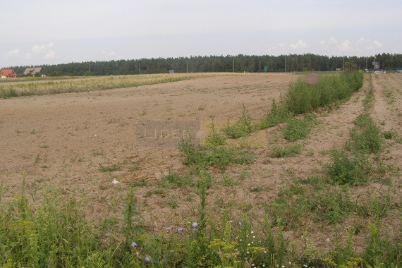 Działka Sprzedaż Zakroczym 7