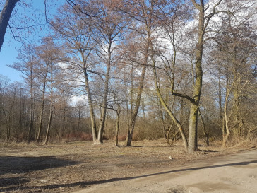 Działka Sprzedaż Nowe Grochale