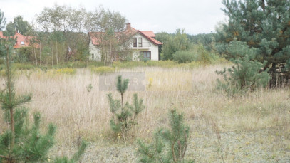 Działka Sprzedaż Ostrówek Ogrodowa