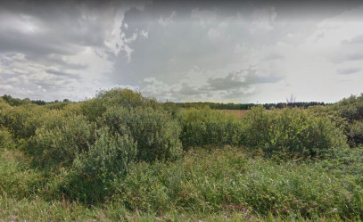 Działka Sprzedaż Sowia Wola