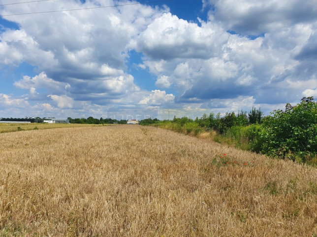 Działka Sprzedaż Cząstków Mazowiecki 4