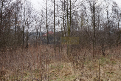 Działka Sprzedaż Dębina