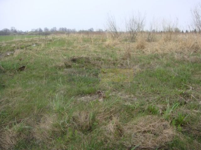 Działka Sprzedaż Janczewice 3