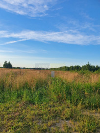 Działka Sprzedaż Dziekanów Nowy
