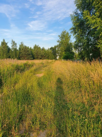 Działka Sprzedaż Dziekanów Nowy