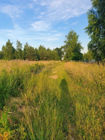 Działka Sprzedaż Dziekanów Nowy 5