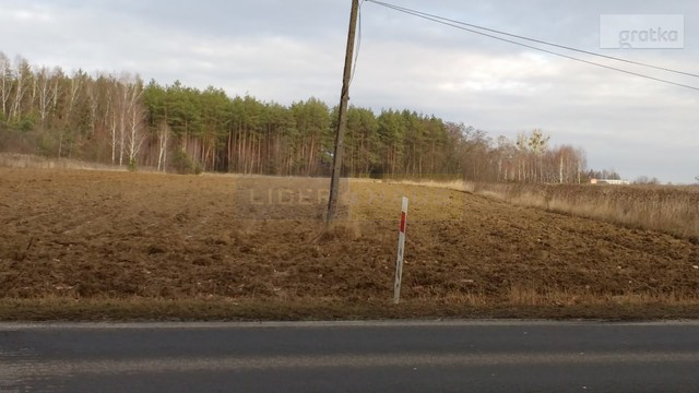 Działka Sprzedaż Kazuń Polski 1