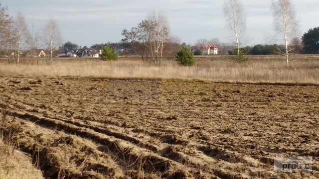 Działka Sprzedaż Kazuń Polski 3