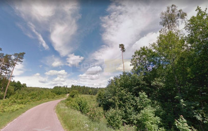 Działka Sprzedaż Dźwierzuty