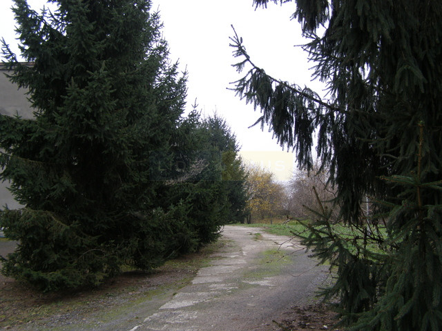 Działka Sprzedaż Szeligi 2