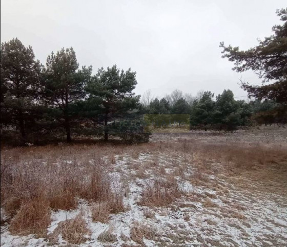 Działka Sprzedaż Cybulice Małe 4