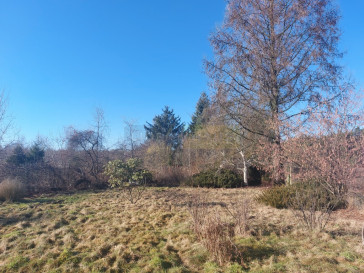Działka Sprzedaż Stanisławów Pierwszy