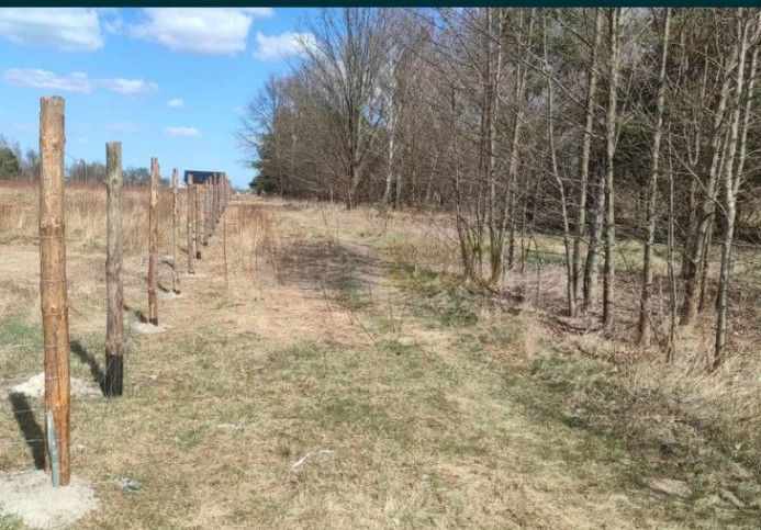 Działka Sprzedaż Kaliszki 1