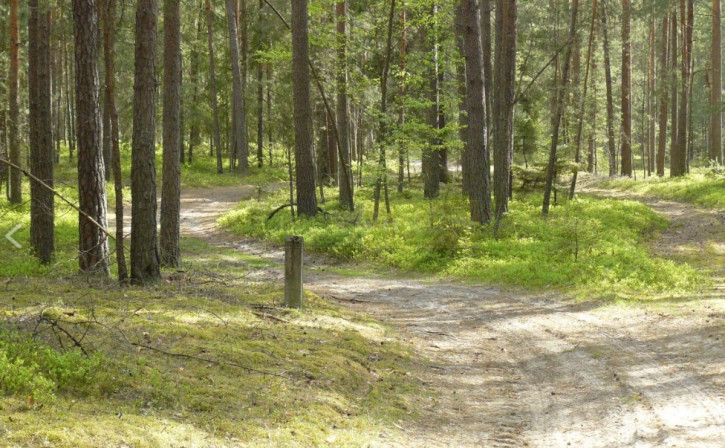 Działka Sprzedaż Huta Podgórna 4