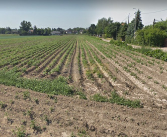 Działka Sprzedaż Ożarów Mazowiecki