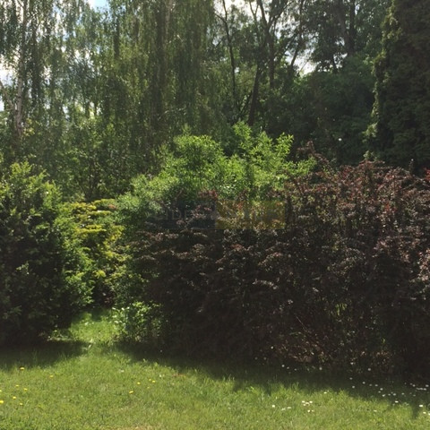 Działka Sprzedaż Czosnów 4