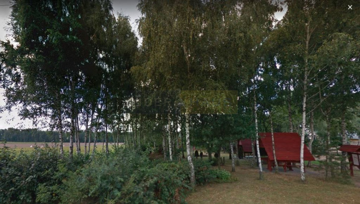 Lokal Sprzedaż Załuski 7