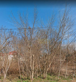 Działka Sprzedaż Warszawa Bielany