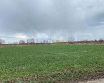Działka Sprzedaż Czosnów