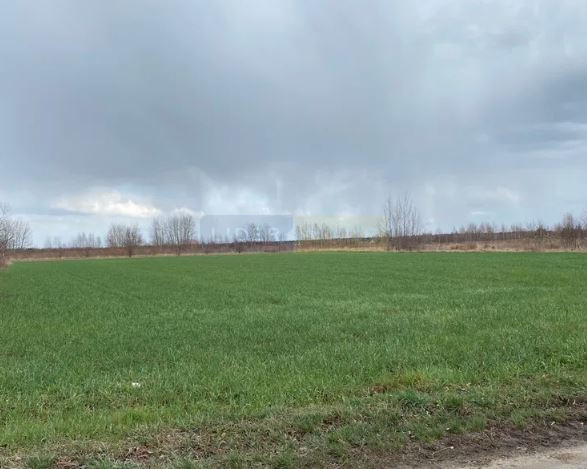 Działka Sprzedaż Czosnów 1