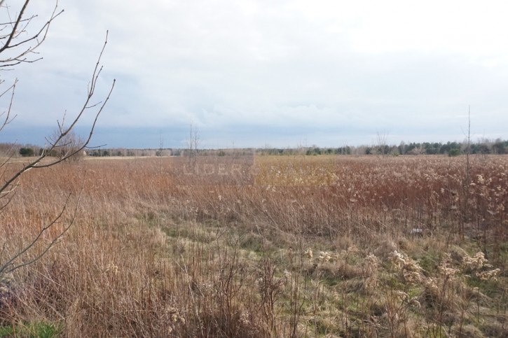 Działka Sprzedaż Czosnów 3