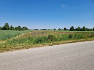Działka Sprzedaż Cząstków Polski