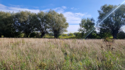 Działka Sprzedaż Łomianki Dolne