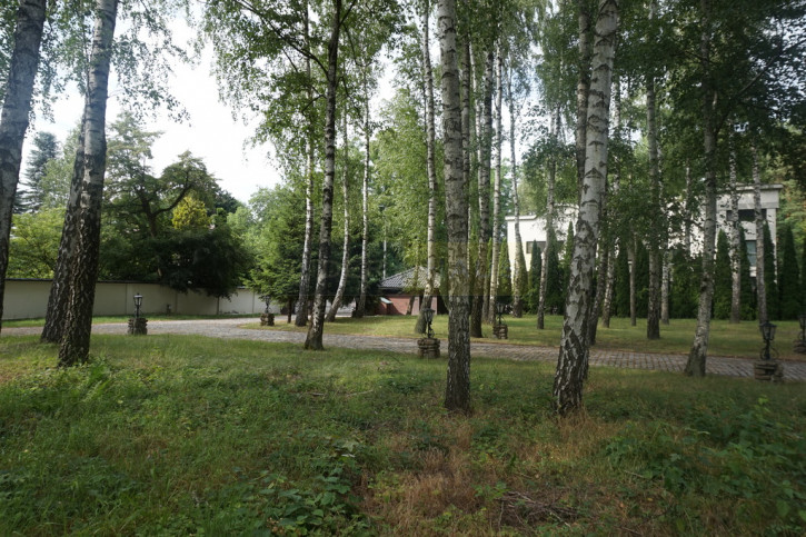 Dom Wynajem Dąbrowa 28