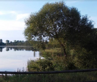 Działka Sprzedaż Serock