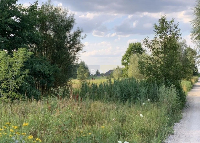 Działka Sprzedaż Kaliszki 2