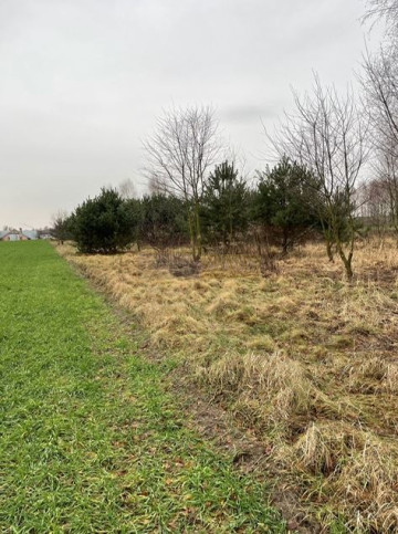 Działka Sprzedaż Krajęczyn 7