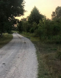 Działka Sprzedaż Dębina