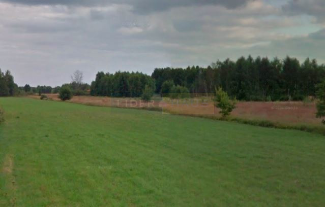 Działka Sprzedaż Łosia Wólka 1