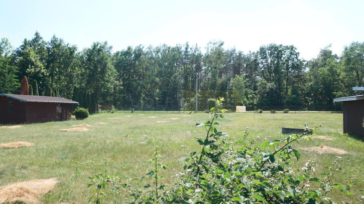 Działka Sprzedaż Kazuń-Bielany 4