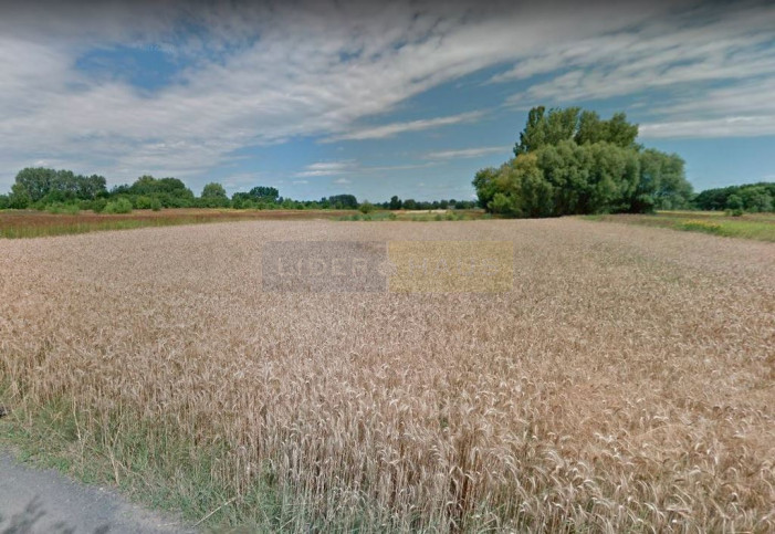 Działka Sprzedaż Łomianki 1
