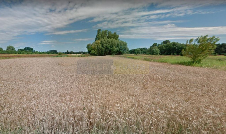 Działka Sprzedaż Łomianki 2