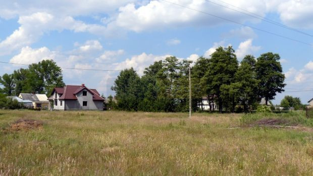 Działka Sprzedaż Czosnów 1