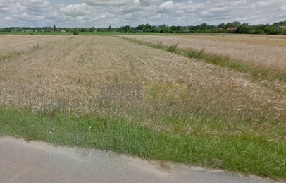 Działka Sprzedaż Kazuń Polski