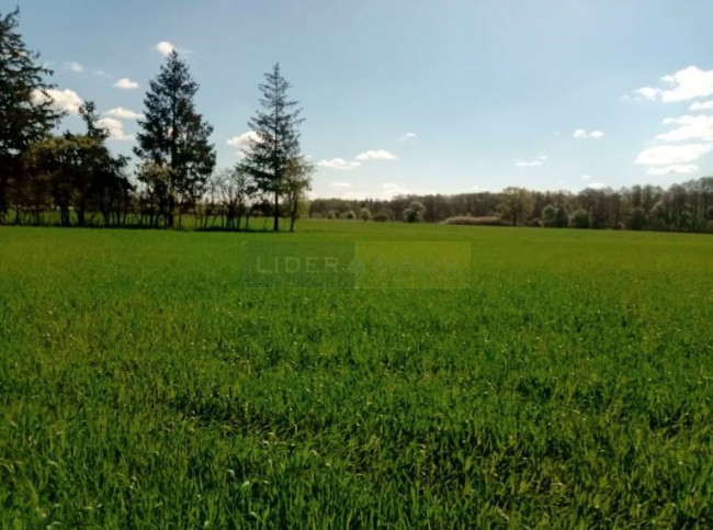 Działka Sprzedaż Kępa Kiełpińska 1